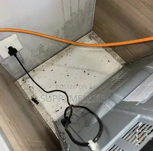 Fumigation Pest Control Services