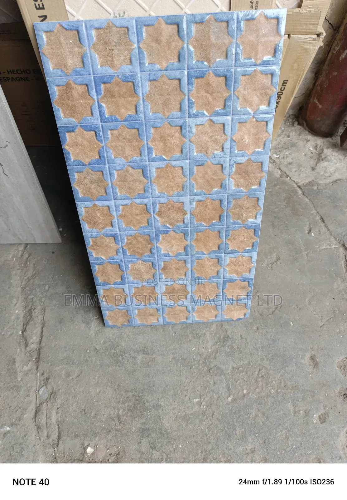 56x31 High Quality Spanish Wall Tiles