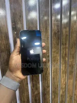 Apple iPhone 13 Pro Max 256 GB Blue