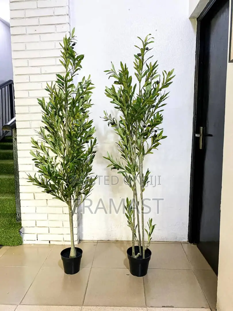 Artificial Olive Plant