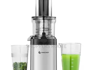 AMZCHEF Cold Press/Masticating Juicer