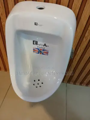 Big Wall Hung Urinary Bowl 