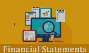 Get Your Business Audited Accounts