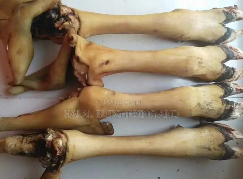 Cow Head, Legs and Tail