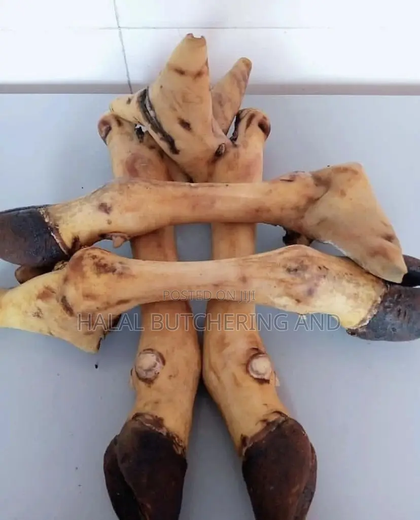 Cow Head, Legs and Tail