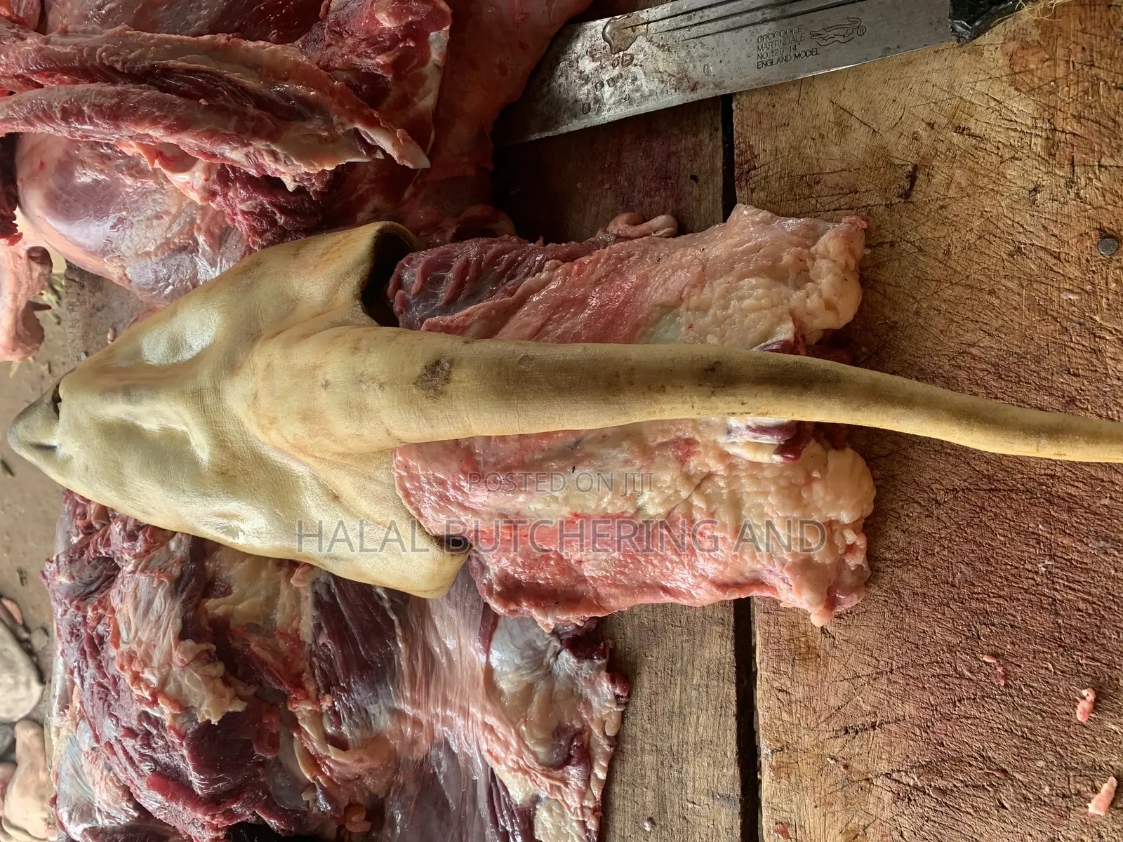 Cow Head, Legs and Tail