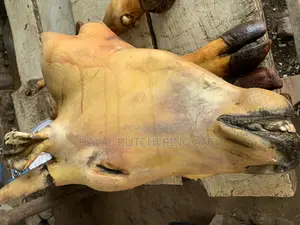 Cow Head, Legs and Tail