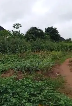 For Sale: Fenced 12 Plots, At New Owerri, Imo State