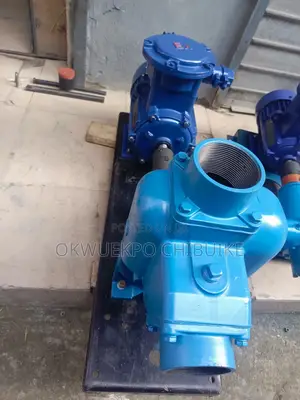 Self Priming Pump, Pump Bolton With Expression Proof Motor