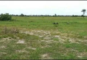 Land for Sale at Guzape 2. Size: 100 Hectares R of O