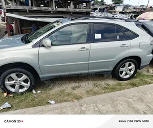 Lexus RX 330 2006 Gray