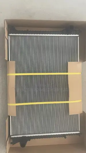 Bentley Radiator