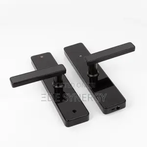 Biometric Smart Intelligence Lock Home and Office Use