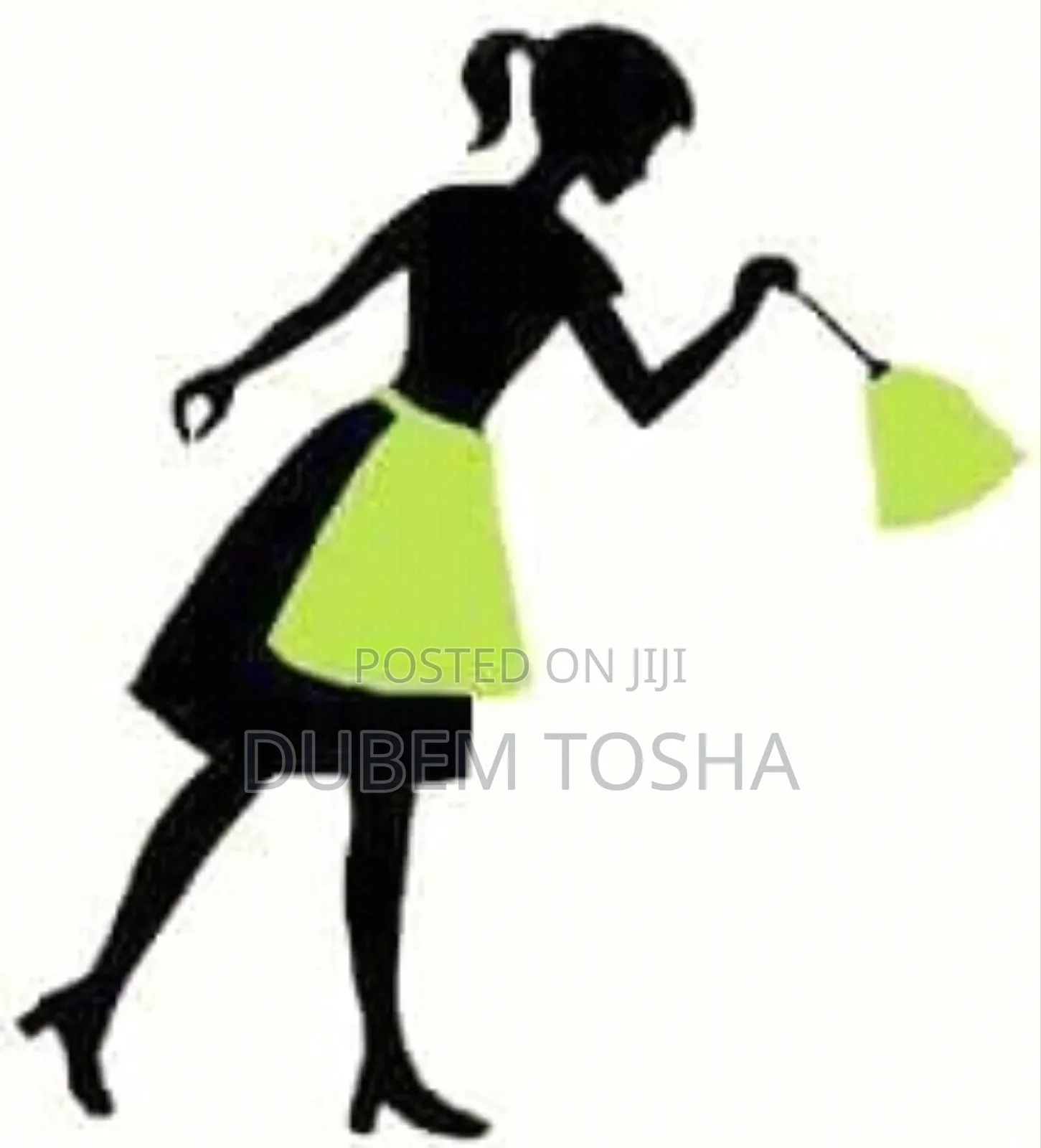 Exclusive Cleaning Services