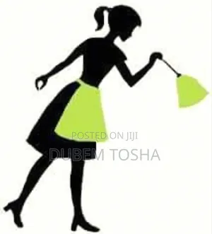 Exclusive Cleaning Services
