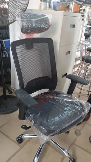 Excutive Ergonomic Office Chair