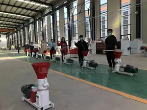 Chicken Feed Pellet Making Machine|Poultry Feed Pellet Mill