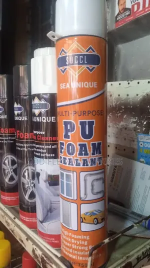 Easy Foam/Pu Foam Can