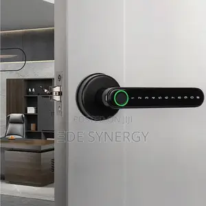 Biometric Intelligence Smartlock
