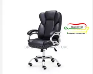 Standard Executive Office Ergonomic Leather Chair