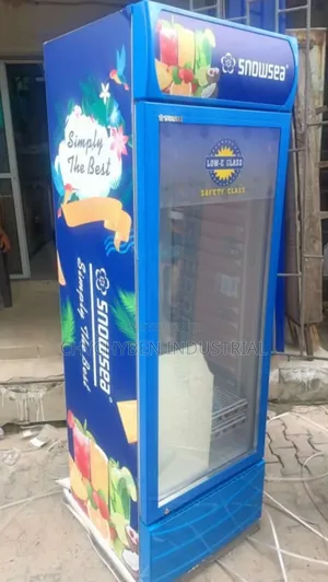 Snowsea Single Door Chiller 300L
