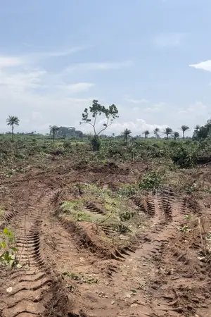 CITY GROOVE ESTATE PHASE 2- Lands In Ogbaku Owerri