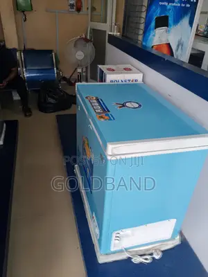 Energy Saving Polystar Blue Chest Freezer "Pv-Cf322blu"