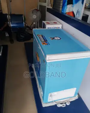 Highly Efficient Polystar Blue Chest Freezer "Pv-Cf322blu"