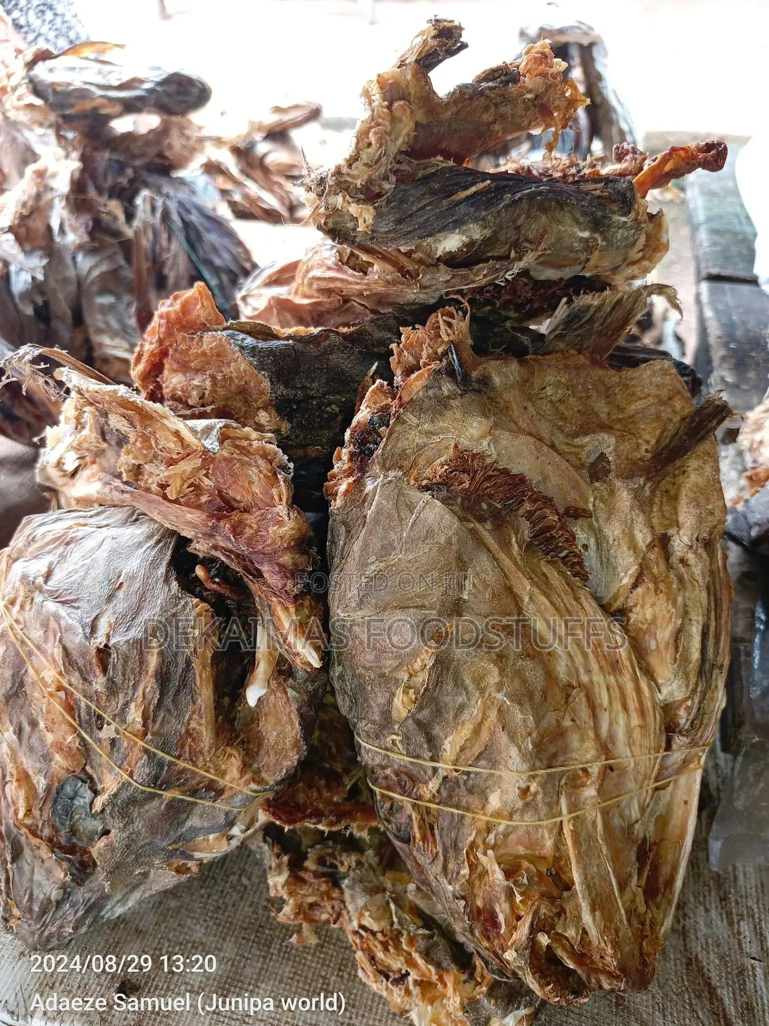 Stockfish Head