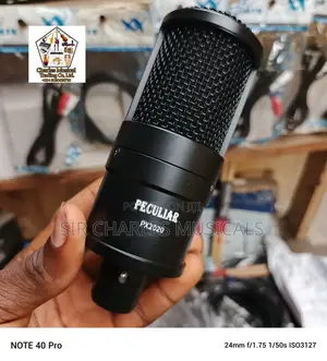 High Quality Peculiar PX-2020 Condenser Studio Microphone
