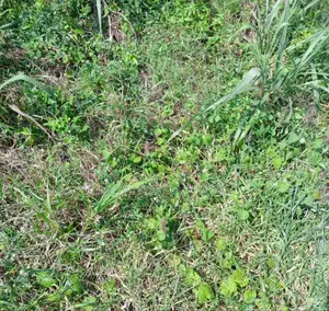 500qm Plots of Land in Amber Court Estate Epe.