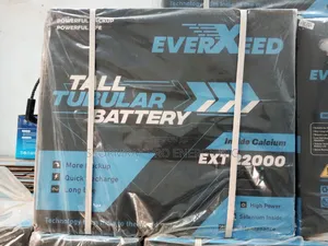 Exer Exceed 220ah Tubular Batteries Available