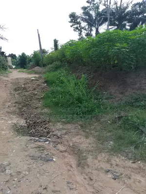Buy And Build Land In Eneka Port Harcourt
