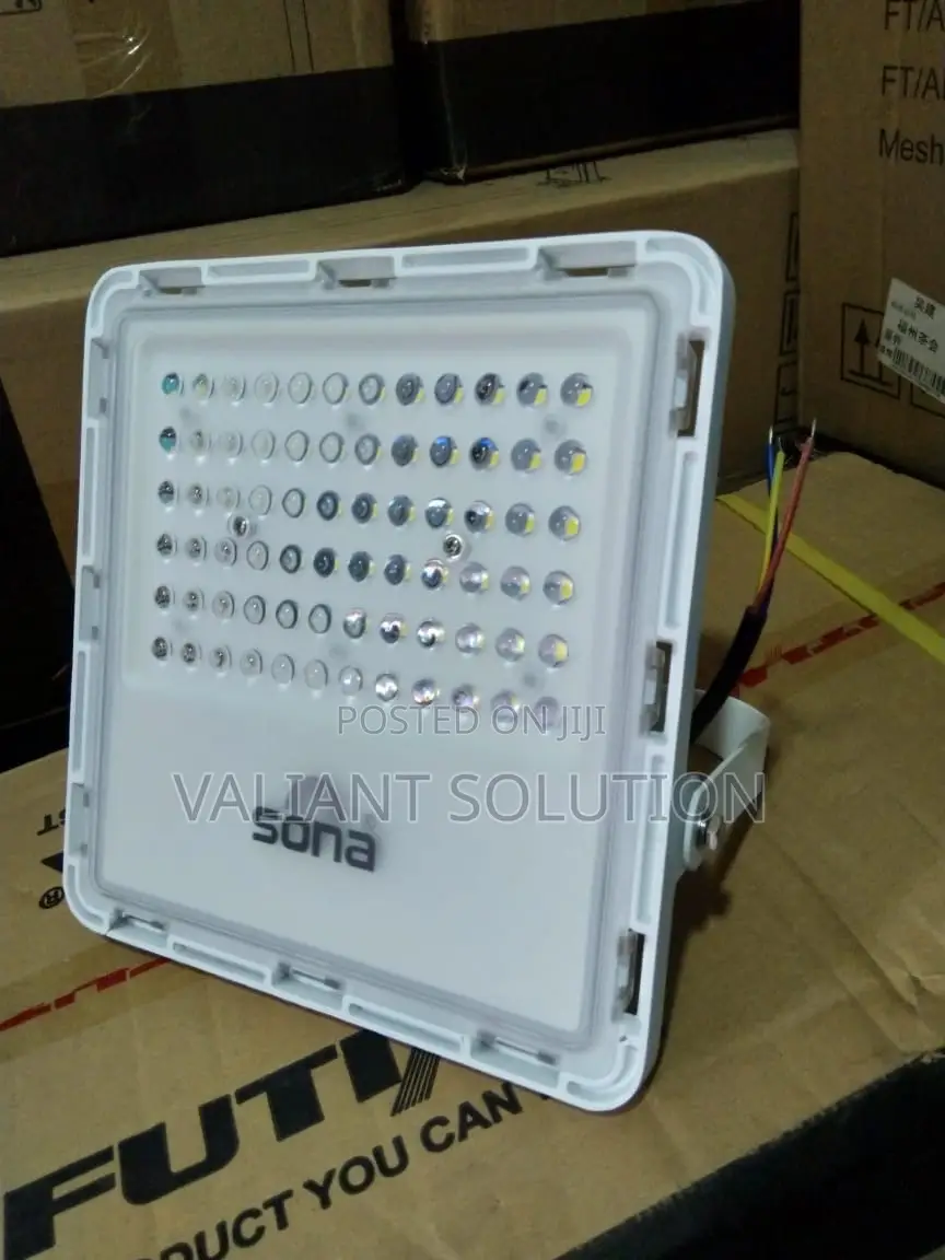 LED Flood Light