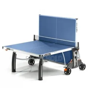 Big Leg Table Tennis Board