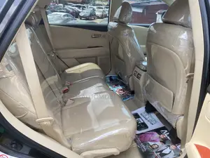 Lexus RX 350 2010 Gray