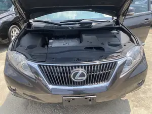 Lexus RX 350 2010 Gray