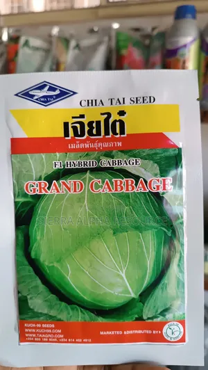 Cabbage Seeds