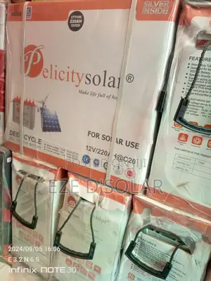 220ah/12v Pelicity Tubular Battery
