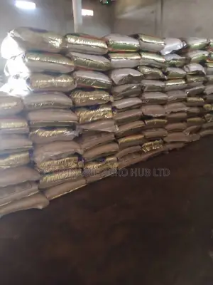 Neatly Destoned Nigerian Rice
