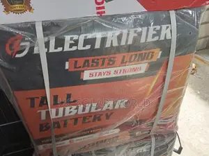 Electrifier 220 Tall Tubular Battery