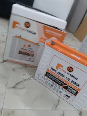 The Modern Finix Mega Tall Tubular Battery for Solar Use