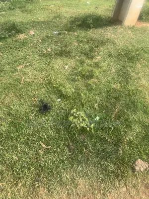 Land and Lease Estate Kuje