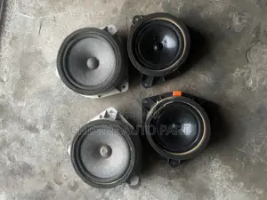 Rx300 Front and Back Door Speakers