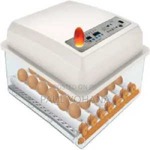 48 Eggs Incubator