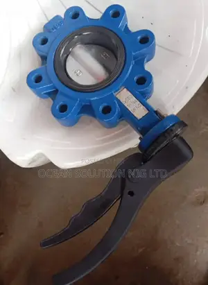 3" Butterfly Valve