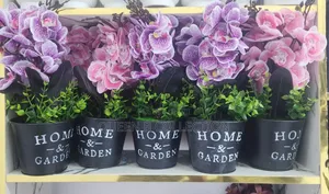 Decorative Home Flowers