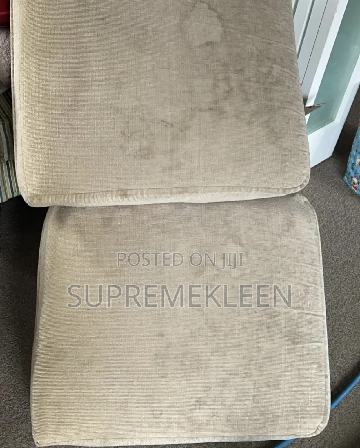 Professional Expert in Deep Upholstery Cleaning Services