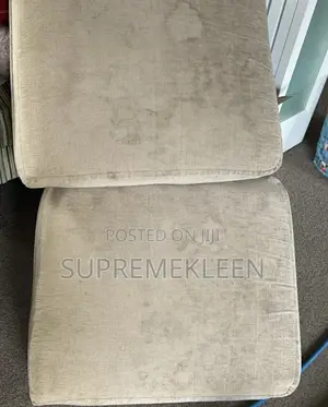 Professional Expert in Deep Upholstery Cleaning Services