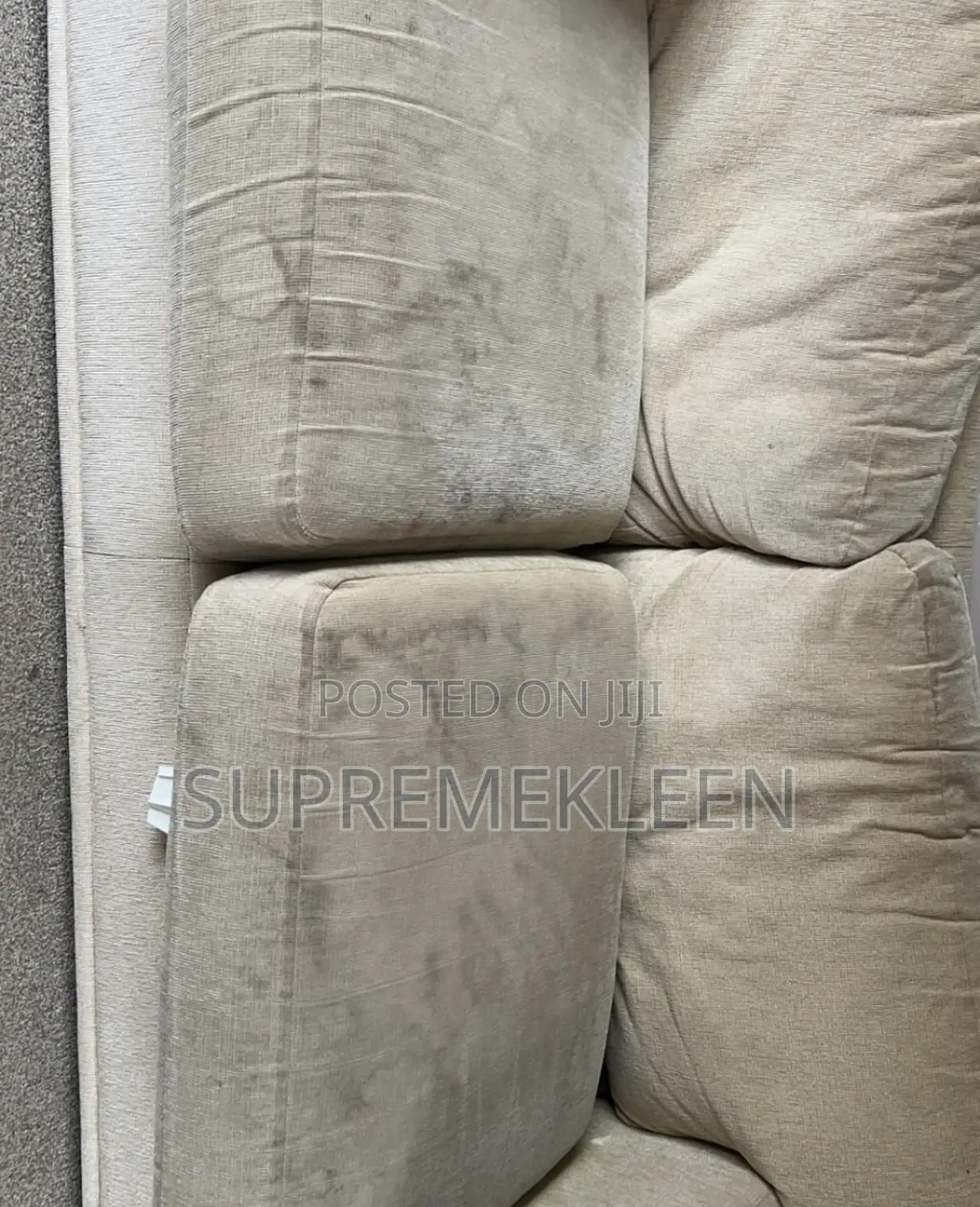 Professional Expert in Deep Upholstery Cleaning Services